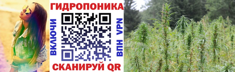 купить закладку  Курганинск  Шишки марихуана LSD WEED 